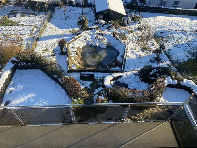 Blick auf Garten und Terasse