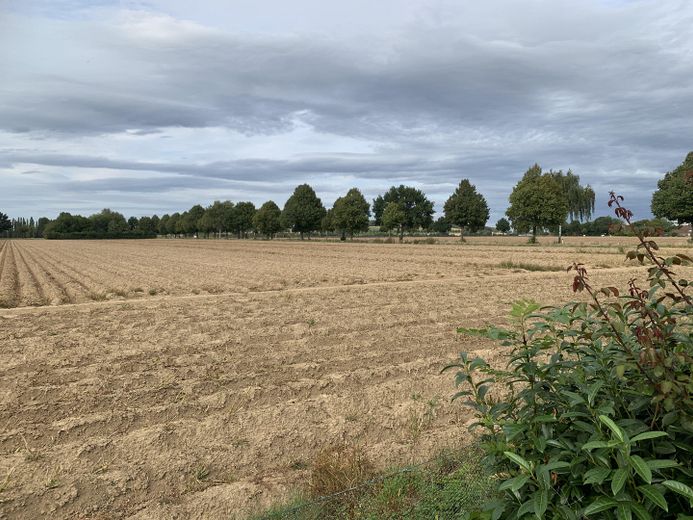 Aussicht hinten (Nord)