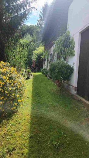 Attraktive Immobilie inmitten der Weinberge von Bottenau – Hinteransicht  mit Garten