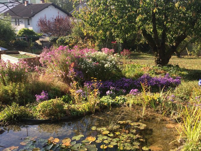 Gartenteich im Herbst