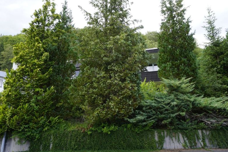 ***Kaufpreisreduktion! Ihr Gebot bitte! Exquisite Villa in Traumlage! Haus, Kauf, Albstadt*** – Bild 6