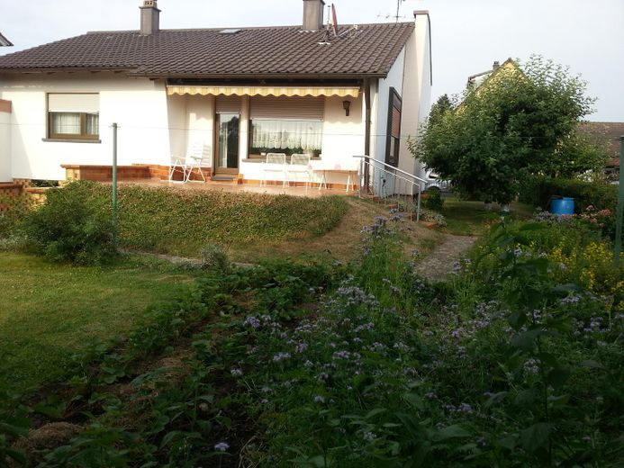 Blick auf die Terrasse