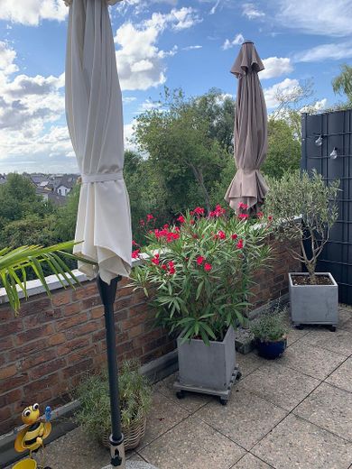 gemütlicher und großer Balkon