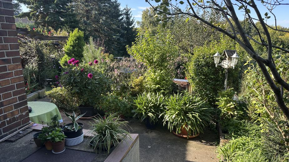 Eigenheim am SW-Stadtrand mit schönem Garten – Garten, Weg am Haus