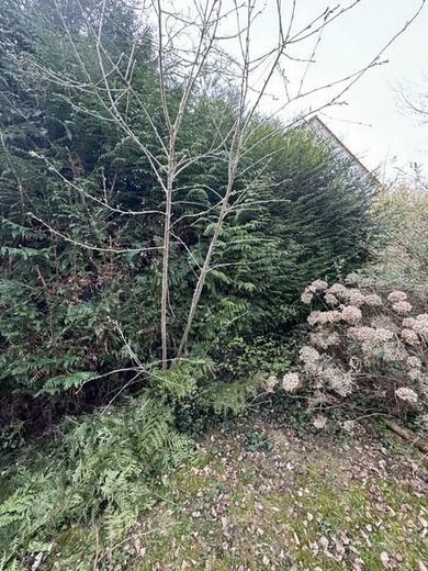 Beste Wohnlage - ruhig mitten im Wald und doch Großstadtnah - hier kann man sich ein Heim bauen! – 00004