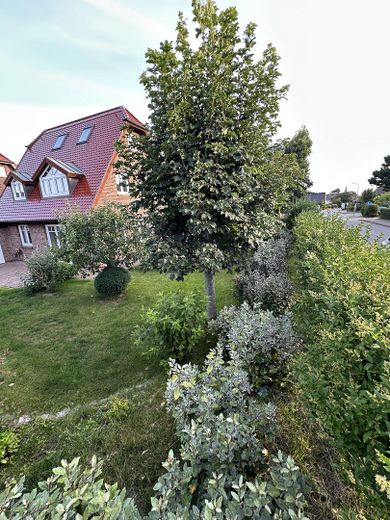 Das Sylt-Südhaus – फोटो 19