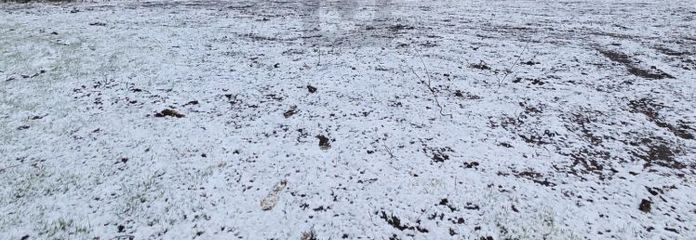AGISCI ORA E INIZIA!