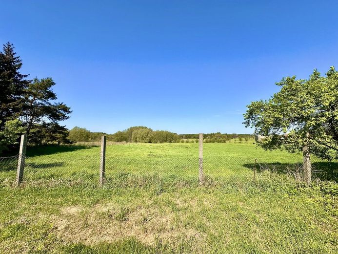 HORN IMMOBILIEN++ ein Haus mit viel Platz und sehr großem Grundstück in Boock – Grundstück
