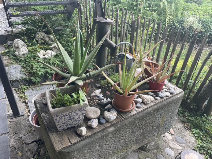 Impression Garten