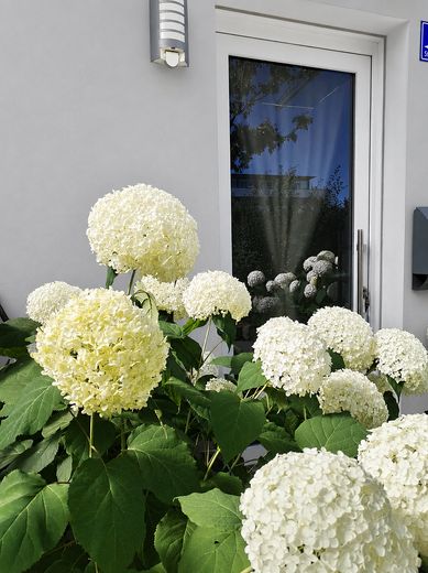 Vivere in modo moderno in una delle migliori zone residenziali di Ingolstadt – Foto 5