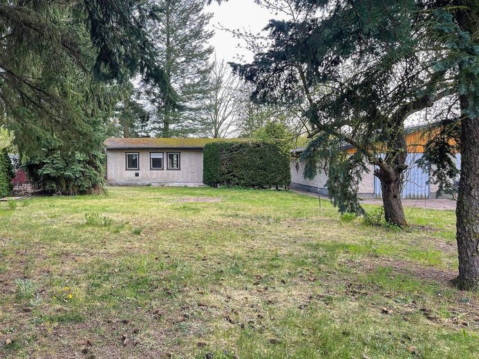 Riservato - Terreno sul lago! 1.079 m² - riva privata sul lago - esposizione a sud - vicino a Berlino - senza provvigione – Vorderansicht mit Garage