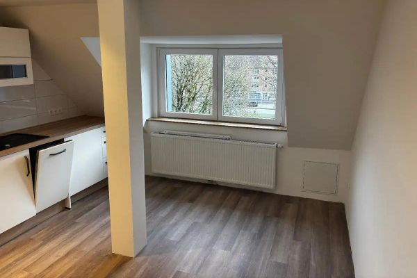Çatı katında kiralık 1 odalı daire
