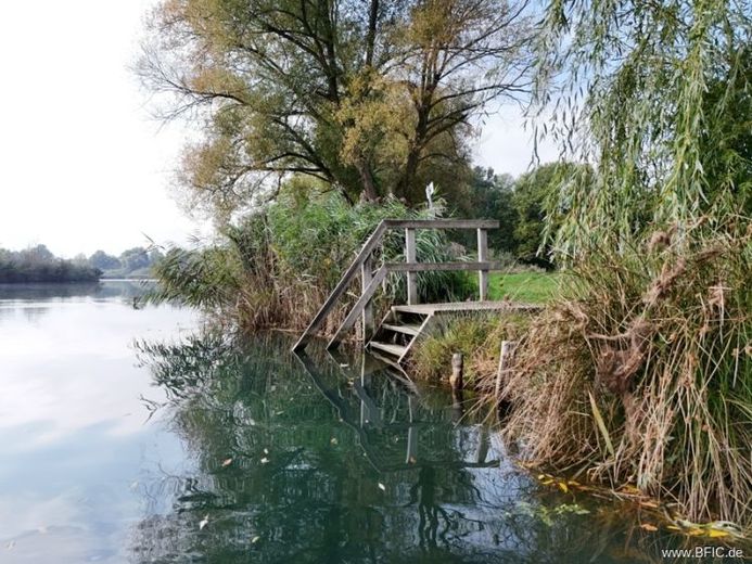 Idyllischer Campingplatz in Sachsen am Olbasee - Kleinod mit großem, kernsaniertem Resthof – फोटो 1