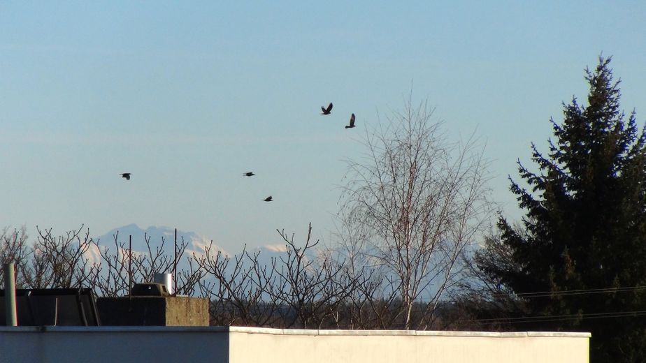Lauschige 2-Zi.-Süd-DTW mit enormer Weite - zwischen Ortszentrum und altem Ortskern – Dachterrasse - Ausblick
