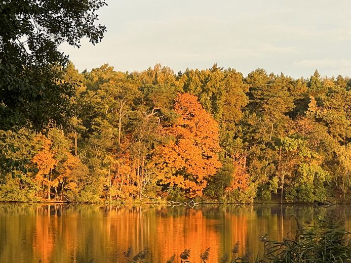 gepflegte Villa mit eig. Seezugang, Steg, Gästehaus, Sauna, Designmobiliar nahe Berlin – Herbst