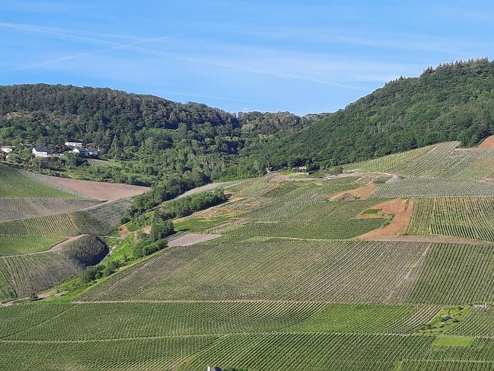 Aussicht