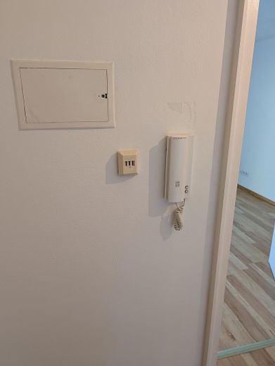 Sprechanlage, Telekom