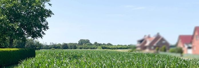 Plots on the outskirts of Lingen - Clusorth-Bramhar district