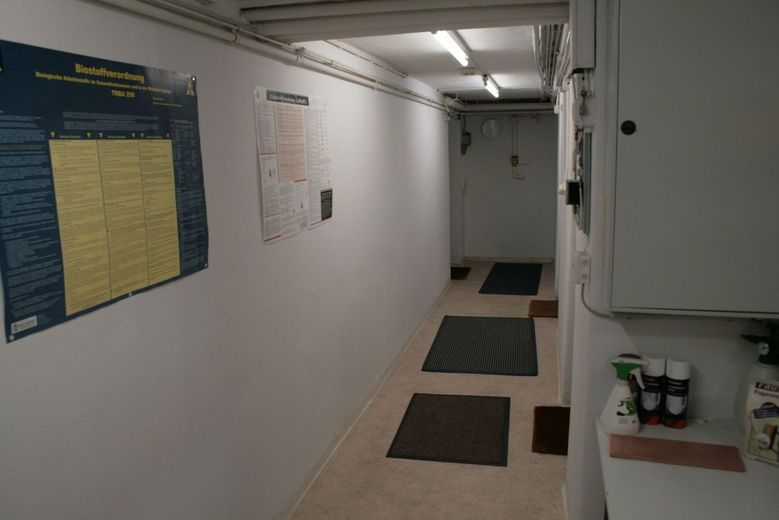 Großzügiges Zweifamilienhaus in bester, zentrumsnaher Lage in Müllheim – d8b55700-e694-4cda-b85b-8de5bad4d0d1