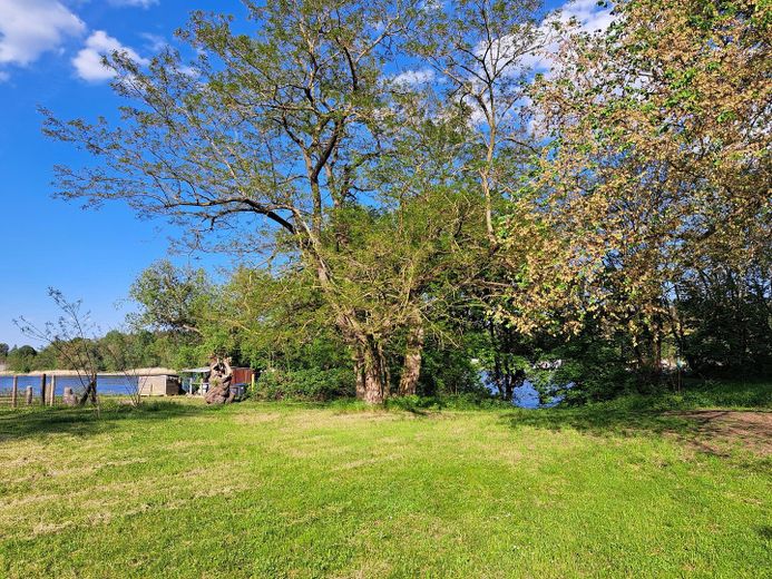 Blick über Wiese zur Oder
