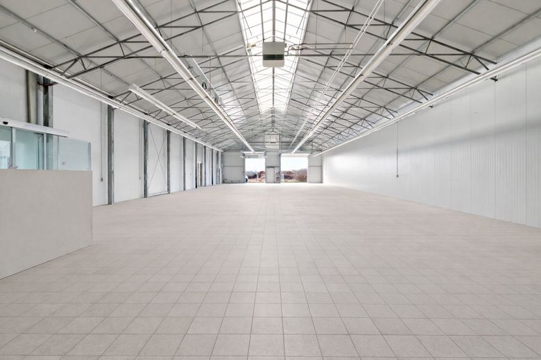 Lager-/Logistikfläche mit Büroanteil in Halle (Saale) - Tornau – Lageransicht 4