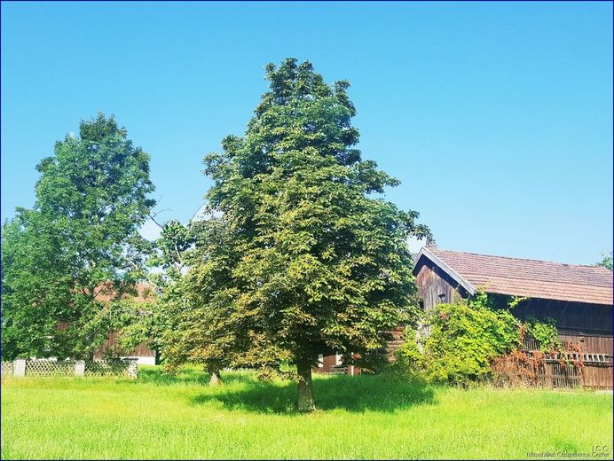 ***   FESTPREIS: 250.000,- EUR   ***
Liebhaber-Sacherl in Alleinlage - ca. 6.500 m² Grund 
am Mühl-/ Prienbach - südlich von Stubenberg – Der alte Baumbestand auf dem sonnigen Grundstück