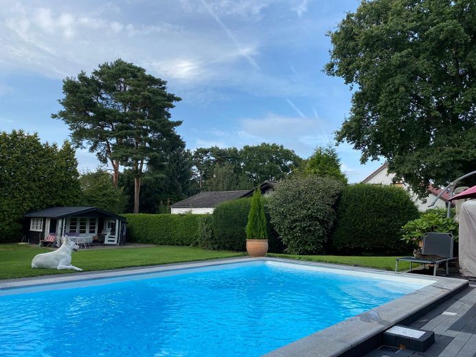 Pool und Garten