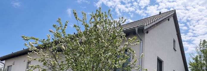 Apfelbaum vorm Haus