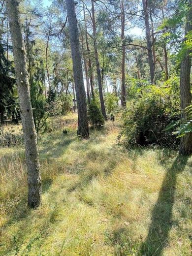 Hervorragendes Baugrundstück in ruhiger Lage – Bild 10