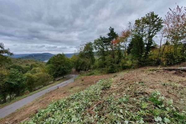 Traumlage an der Mosel! Baugrundstück mit Blick auf Marienburg und Weinberge