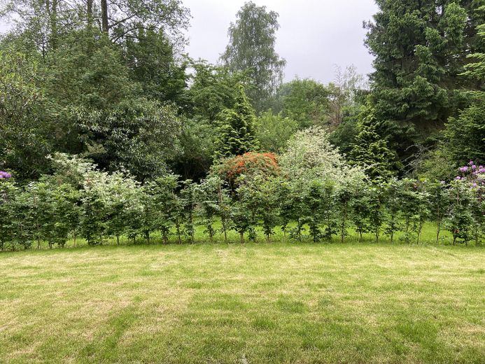 Wunderschöne Neubauwohnung mit eigenem Garten – Foto 3
