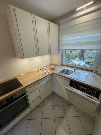 Spüle und Miele Spülmaschine