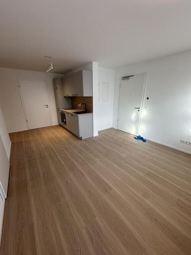 Neubau - Erstbezug - Niedrigenergiehaus - Wunderschöne 1 ZW inkl. EBK, Stellplatz, ca. 42m² Wfl. – Wohnraum