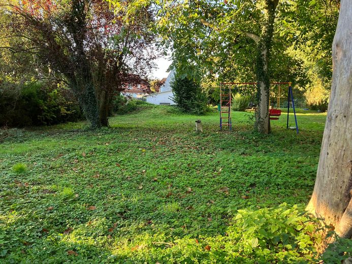 ► Freistehendes Wohnhaus direkt am Naturschutzgebiet – Foto 17