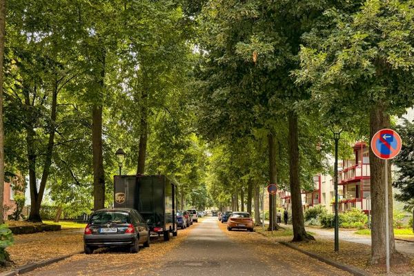Vollvermietetes Mehrfamilienhaus mit Fernwärme auf dem Kaßberg