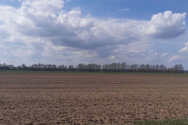 63,9 ha Acker- und Waldflächen in Trebitz und Brück