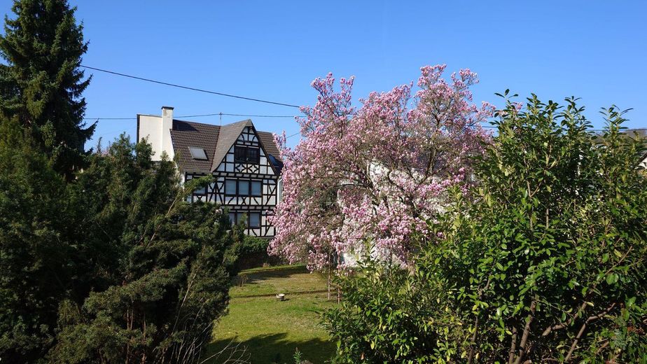 Blick vom Balkon im Frühling