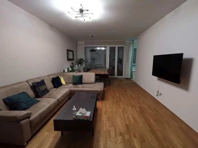 recent gerenoveerd volledig gemeubileerd 3-kamerappartement met balkon en inbouwkeuken in Neu Isenburg Ost – Wohnzimmer