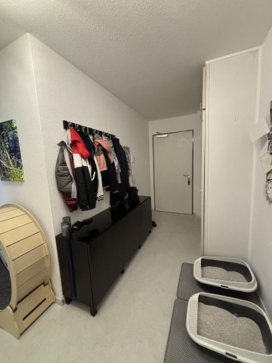 Gepflegte 2-Zimmer-Wohnung mit Balkon, Einbauküche, Stellplatz & Aufzug in Maintal-Dörnigheim – Flur