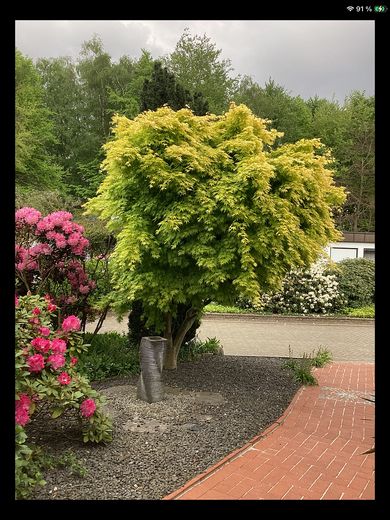 Blick auf die ruhige Straße