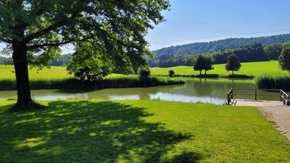 Umfeld