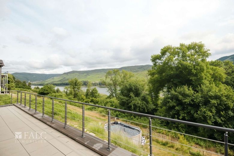 Rheinblick