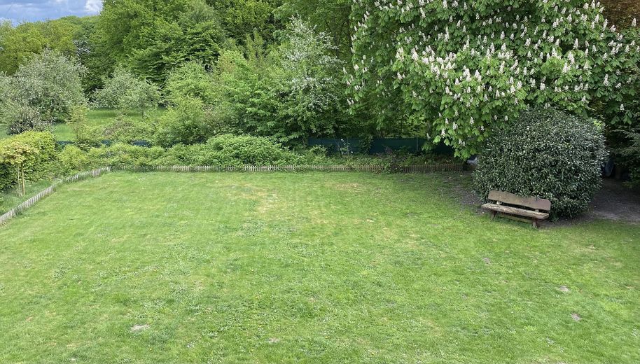 Garten bzw. Baugrundstück