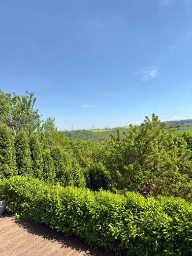 Aussicht