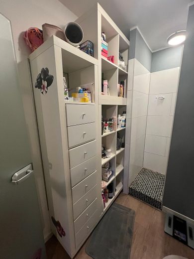  ausfahrbahrer Badschrank