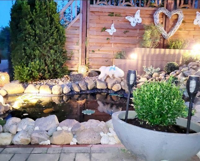 Provisionsfrei- Ihre private Wellness-Oase am Tor zum Spreewald – Teich am hauseingang
