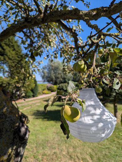 Baugrundstück auf der Insel Poel – Wohnen, wo andere Urlaub machen – Foto 5