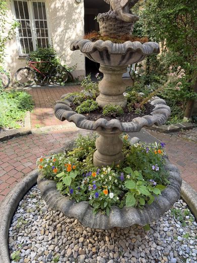 Little city house in the heart of Munich – Begrünter Brunnen im Innenhof