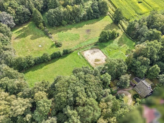 Marzenie miłośników koni: dom kryty strzechą z przyległymi terenami leśnymi i pastwiskami – Zdjęcie 1