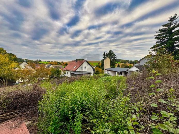 AUF EINER ANHÖHE MIT WALDBLICK – Foto 1